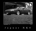 Jaguar XK8 - small